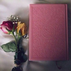 سورة الأنفال - محمود خليل الحصري (مرتّل) 💗🌿