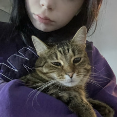 kitsvilion