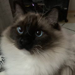 milla <3