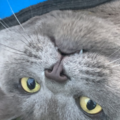 Алиночка
