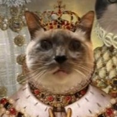 Jason Conner - Musician, songwriter.