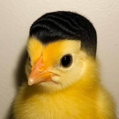 PoipetCity