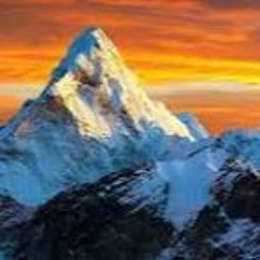 Роберт Валитов