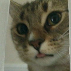 The Hand That Thieves