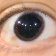 XAPZ