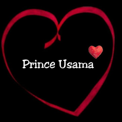 Muhammad Usama’s avatar