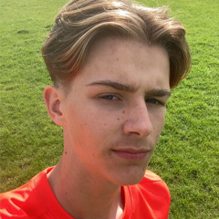 Harrison Mavin