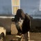 txnyudogk