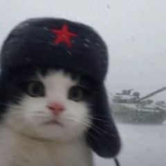 Jorry