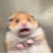 ‎  ‎ ‎ ‎ ‎ ‎ ‎ ‎ ‎ ‎ ‎ ‎ ‎ ‎ ‎ ‎ ‎ ‎ ‎