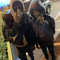 bricksboy.eli