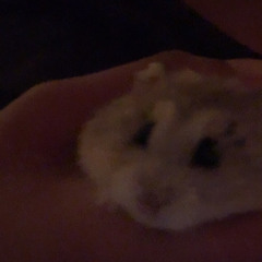 eatualive