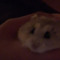 eatualive