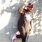 WSSB Natedawg