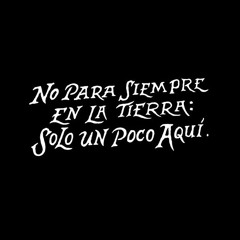 no problemos aqui