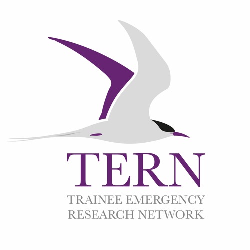 TERN’s avatar