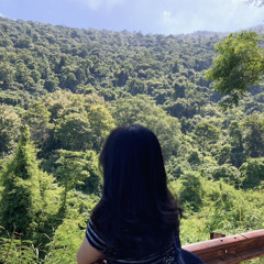 Trinh