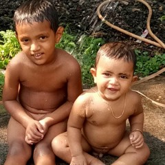 നിയാസ് പാടശ്ശേരി