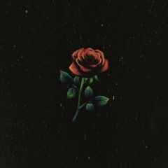 Prince Jay The Truth