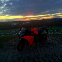Freerider