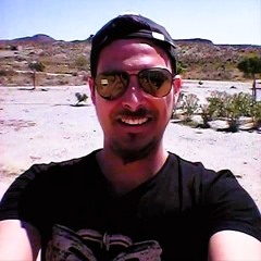TheDieselman