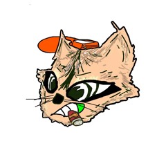 julijr11