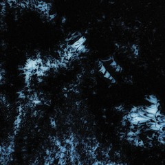 •MV•