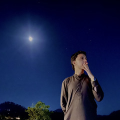 Salim Afridi