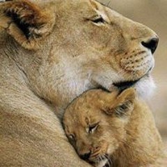 Элла Тереновская