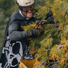 Colt the canopydweller