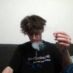 zeldashinerr