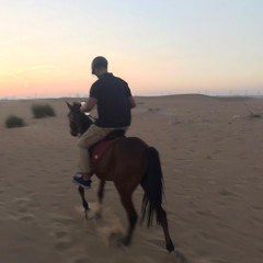 Mohammed_Zaki