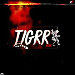 Wild Tigrr