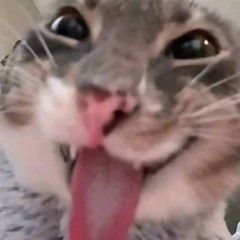 povidlo