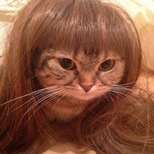 kb battle 11/05 (3rd place)