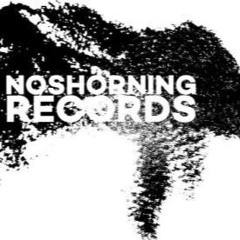 Noshorningrecords