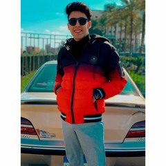 nader salim