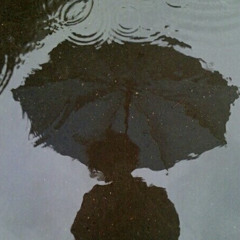 Harpsichord/Casey (they/it)