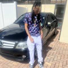 TsT thesavagetwiss