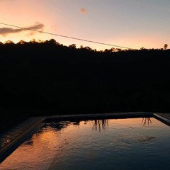 Juan P. Mazo