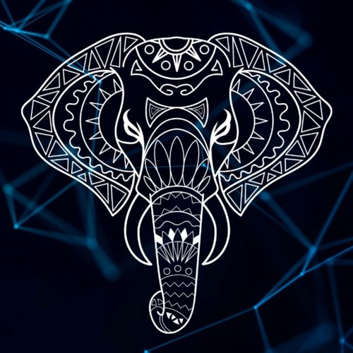 Elephant Recordings’s avatar