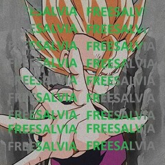 FreeSalvia - Band