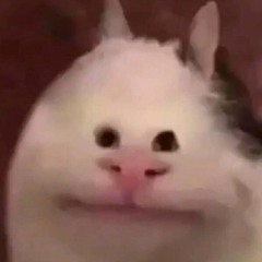 MTT