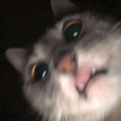 funkolicious
