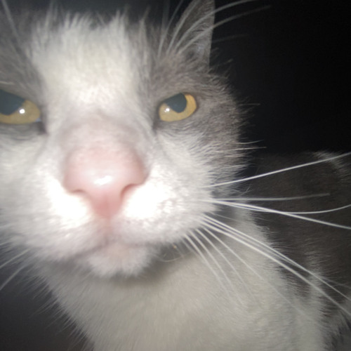 MY FAVS AND WHAT I WOULD REAPEAT NON STOP😍😍😍😍😍😍