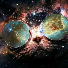 pisicodelic🕉️