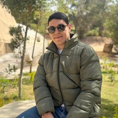 Amr Adel