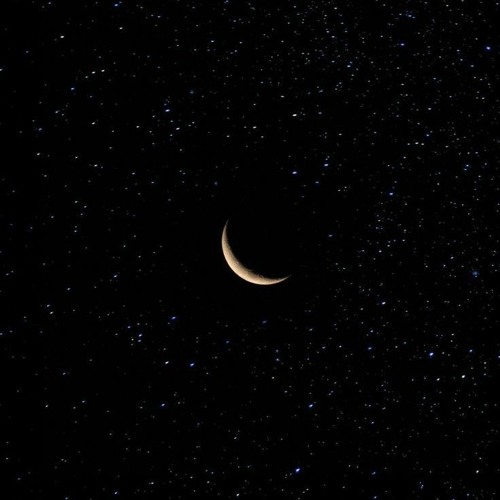 Gold chain-senior X pidar