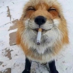 российский геймер