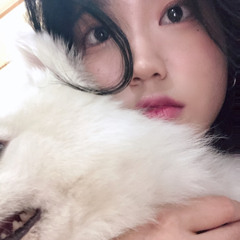 soneam